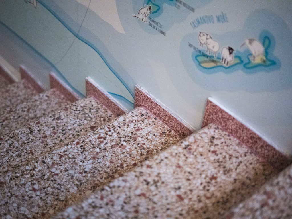 Renovace teraco schodů a podlahy ZŠ Ostrožská Nová ves